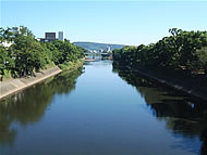 白川(景観デザインなど)