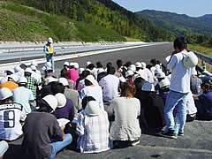 ���n���w��