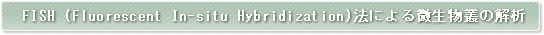 FISH (Fluorescent In-situ Hybridization)�@�ɂ��������p�̉��