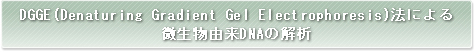 DGGE(Denaturing Gradient Gel Electrophoresis)�@�ɂ��������R��DNA�̉��