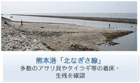 �F�{�`�u�k�Ȃ������v