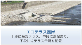 �G�R�e���X���