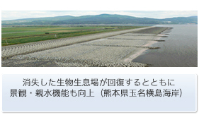 �����������������ꂪ�񕜂���ƂƂ��Ɍi�ρE�e���@�\������i�F�{���ʖ������C�݁j